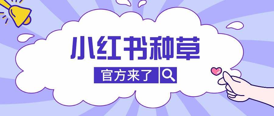 小红书文章怎么推广(小红书文章可以推广吗)