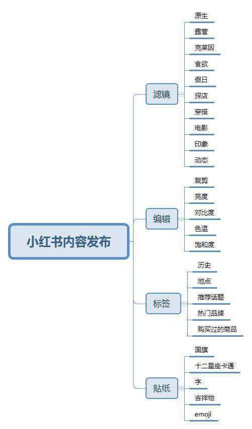 小红书得运营(小红书是怎样运营的)