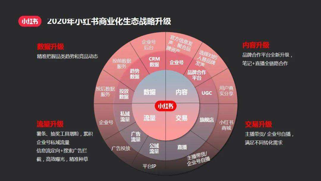 小红书品牌营销(小红书品牌营销白皮书 龚俊)