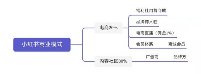 小红书经营模式(小红书运营模式及盈利模式)