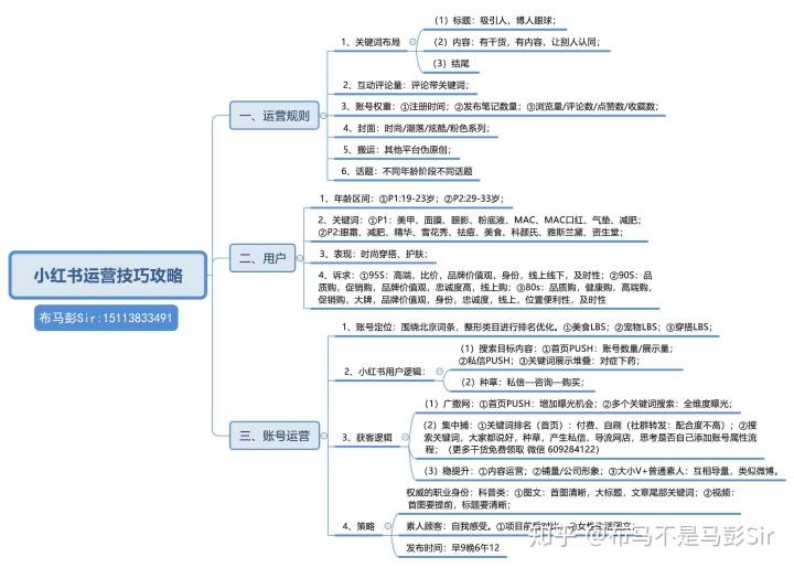 小红书平台营销策略分析(小红书的营销策略分析论文)