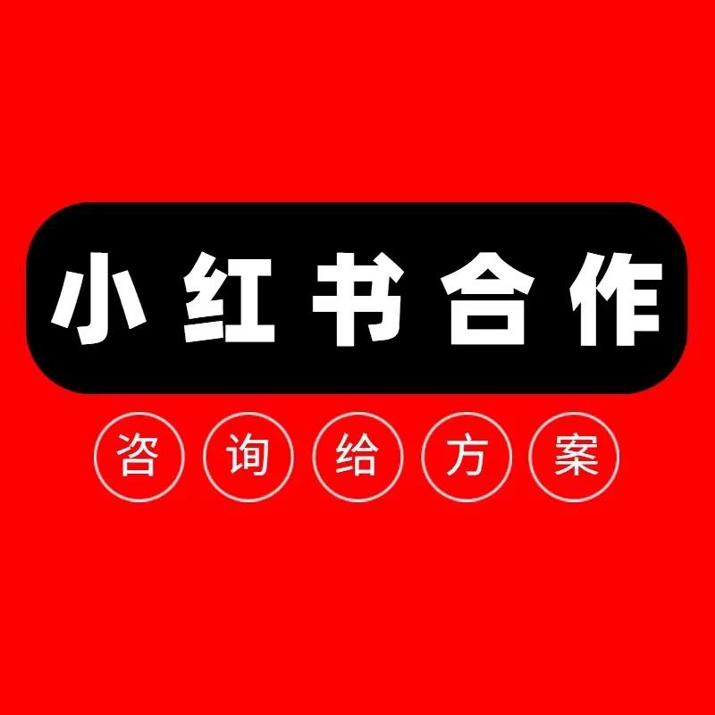 小红书网络营销推广特点(小红书成功的网络营销案例)