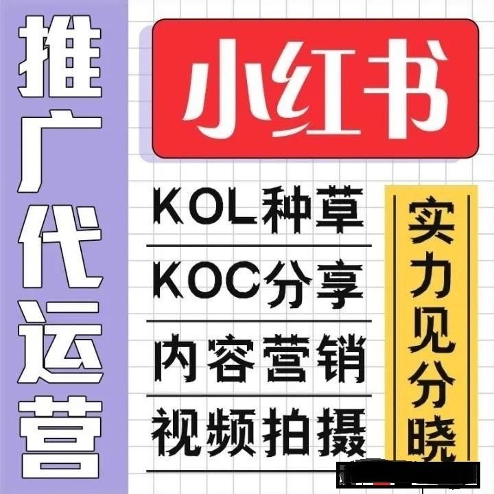 小红书kol推广方案(小红书kol推广是什么意思)