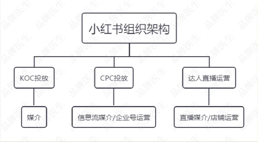 小红书品牌号运营(小红书品牌号运营经验)