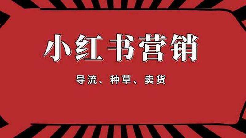 小红书新媒体营销案例分析(小红书成功的内容营销案例分析)