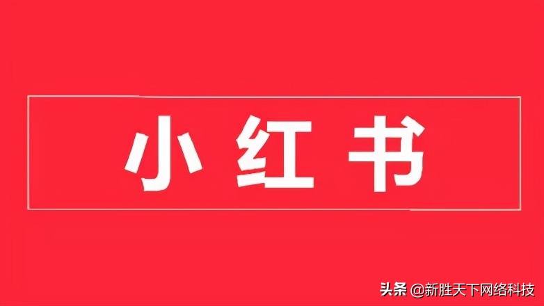 小红书营销策略存在的问题(小红书营销策略存在的问题与办法)