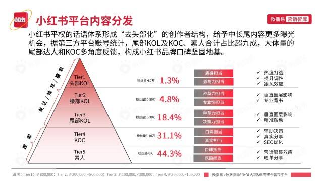 小红书营销案例(小红书营销成功案例)