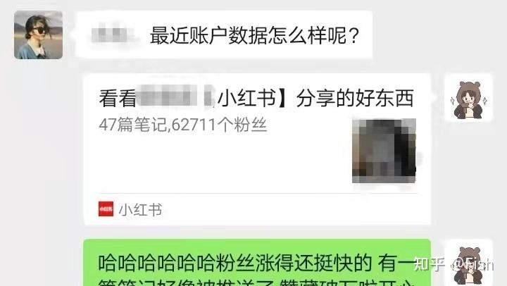 怎么经营小红书账号(小红书企业账号怎么运营)