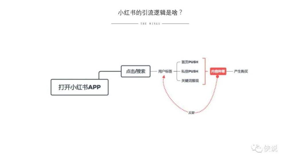 小红书营销ppt(小红书营销策划方案)